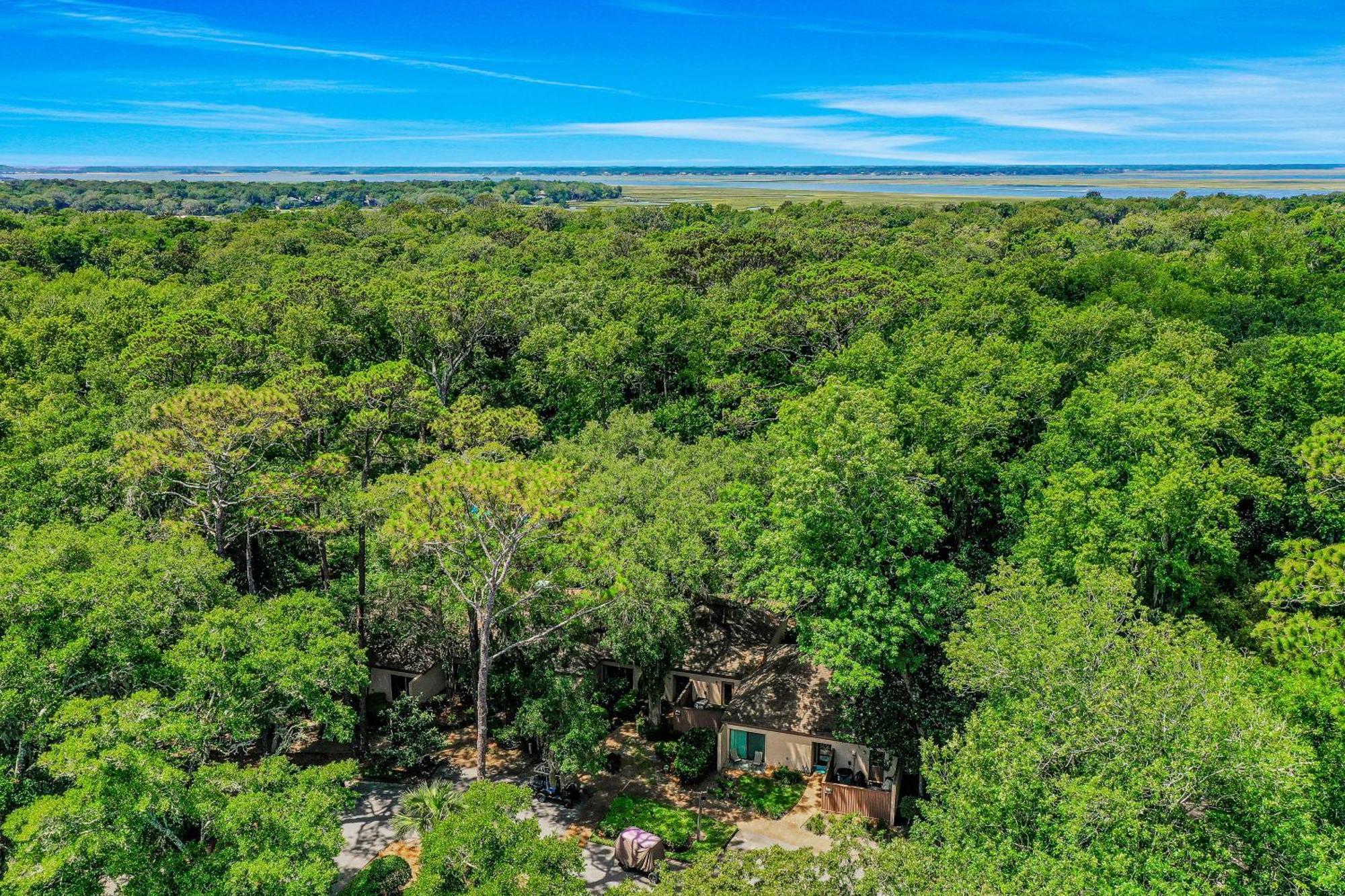 Lucky Enough Apartment Fernandina Beach Bagian luar foto